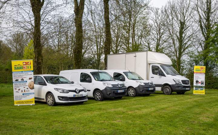 Désinsectisation Pas-de-Calais Ouest