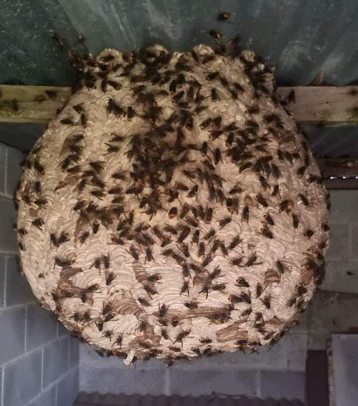 Screenshot 20260228 202458 Gallery[1]